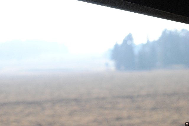 img00318.jpg