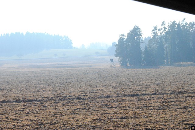 img00319.jpg