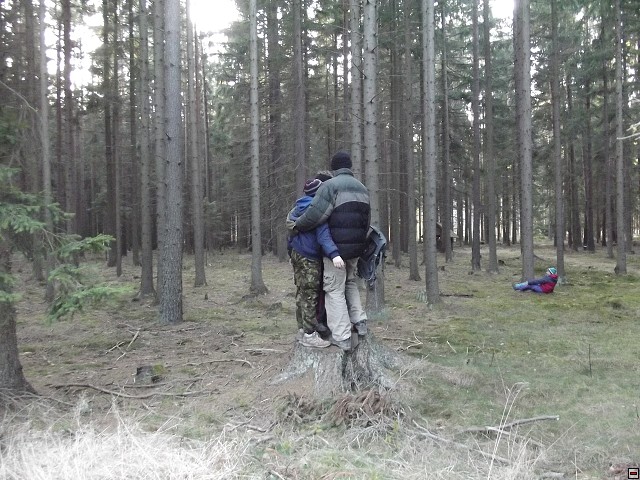 img00320.jpg
