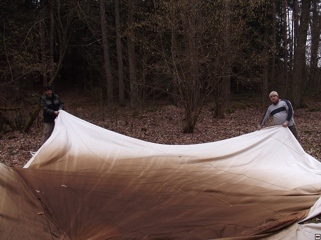img00343.jpg