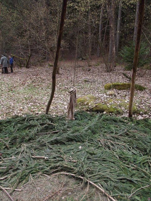 img00349.jpg