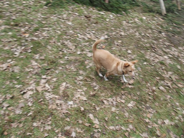 img00358.jpg