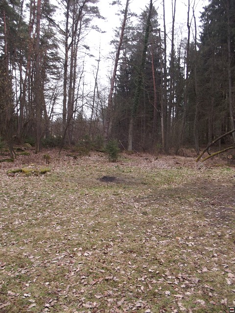 img00363.jpg