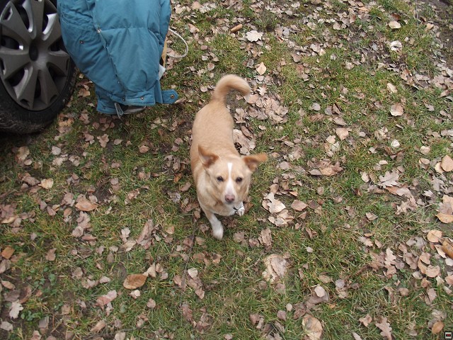 img00365.jpg