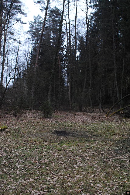 img00366.jpg
