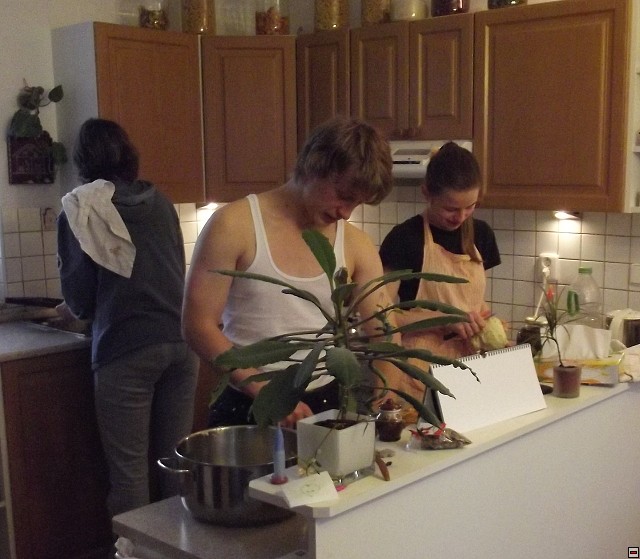 img00009.jpg