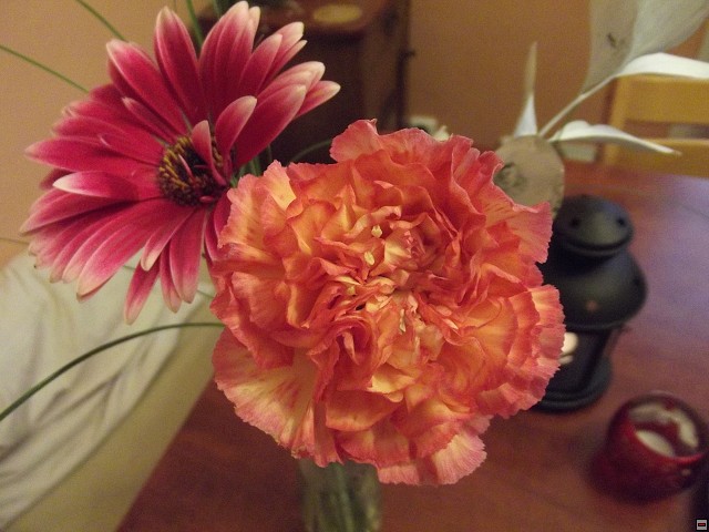 img00014.jpg