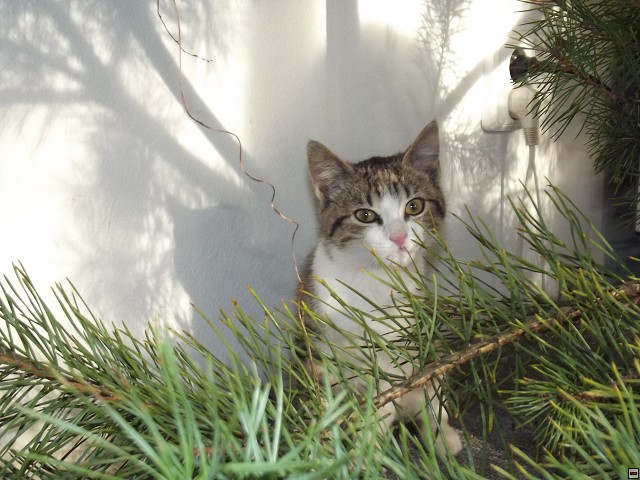 img00024.jpg