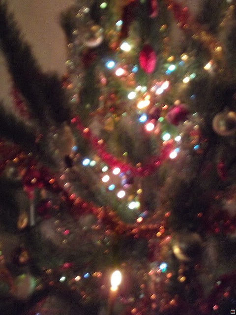 img00041.jpg