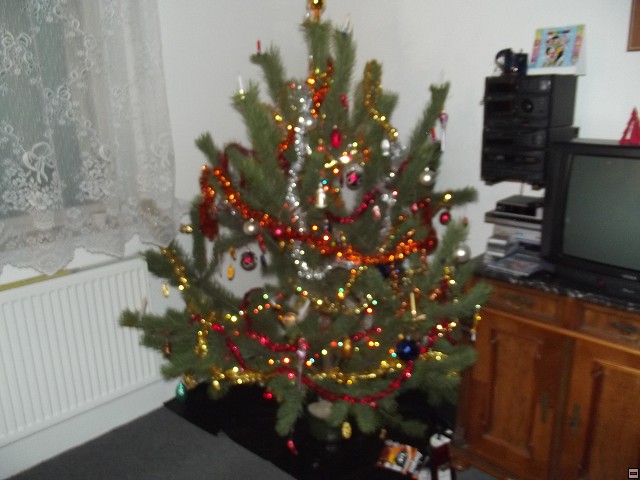 img00049.jpg
