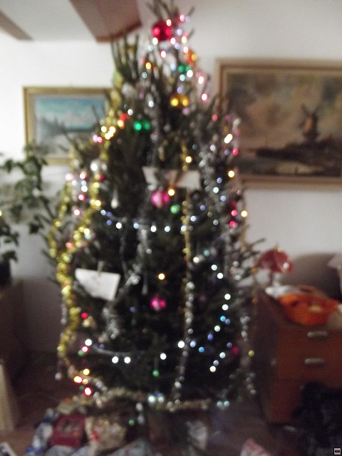 img00061.jpg
