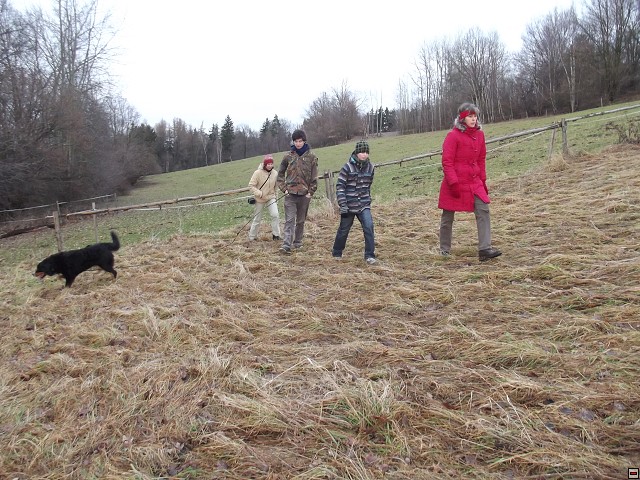 img00084.jpg