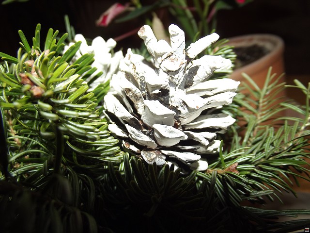 img00093.jpg