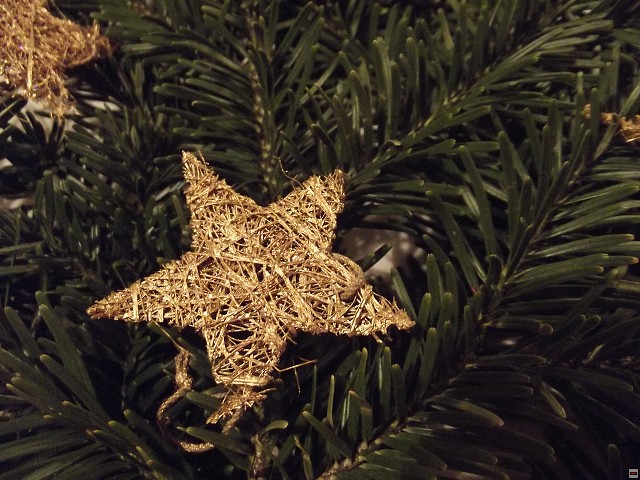 img00097.jpg