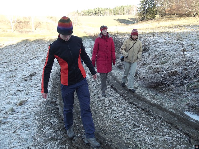 img00101.jpg