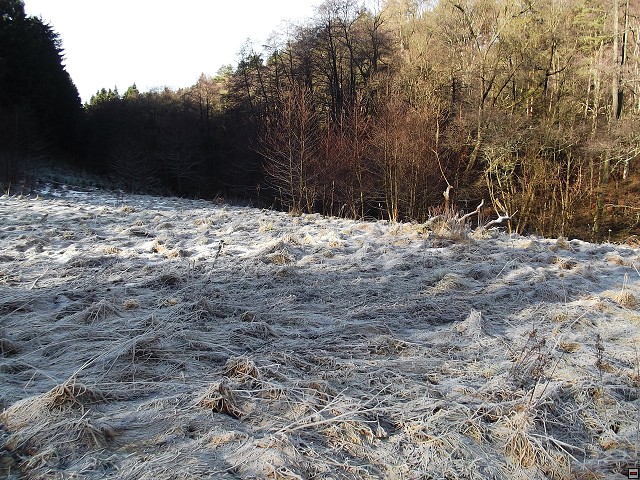 img00105.jpg