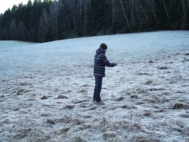 img00107.jpg