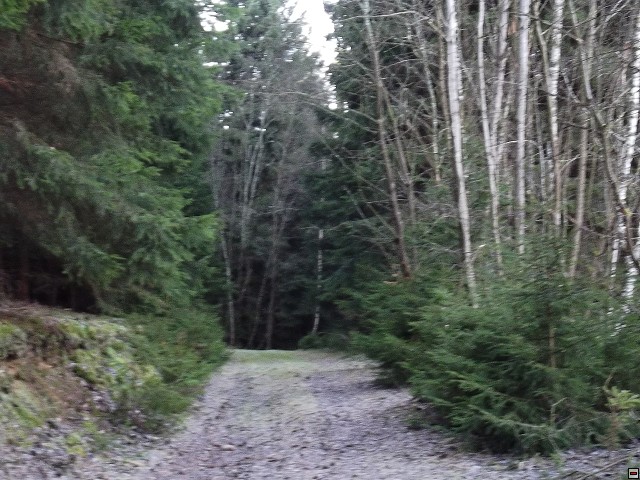 img00111.jpg