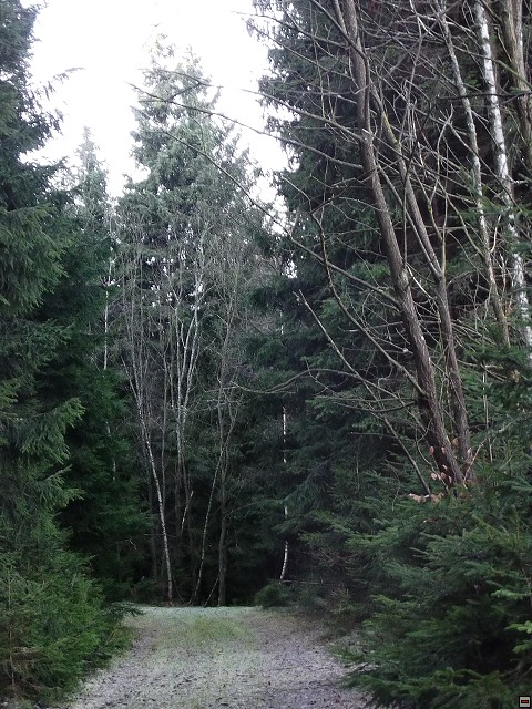 img00112.jpg