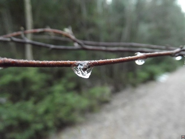 img00113.jpg