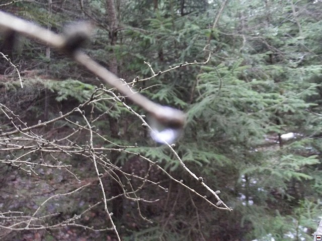 img00114.jpg