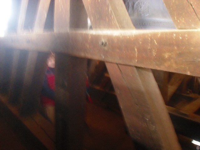img00129.jpg