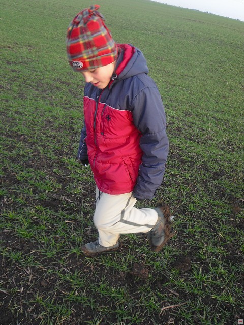 img00157.jpg
