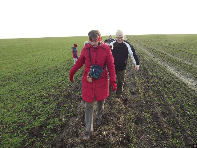 img00164.jpg