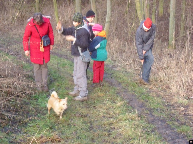 img00169.jpg
