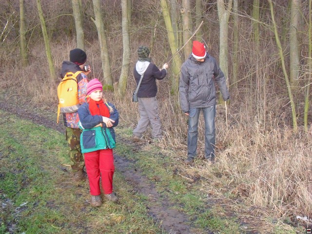 img00172.jpg