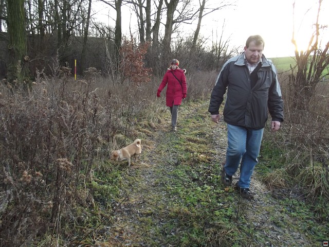 img00175.jpg