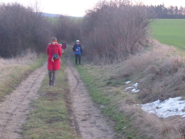 img00176.jpg
