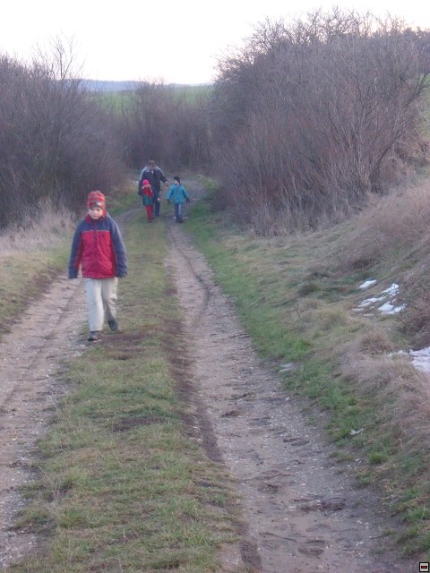 img00179.jpg