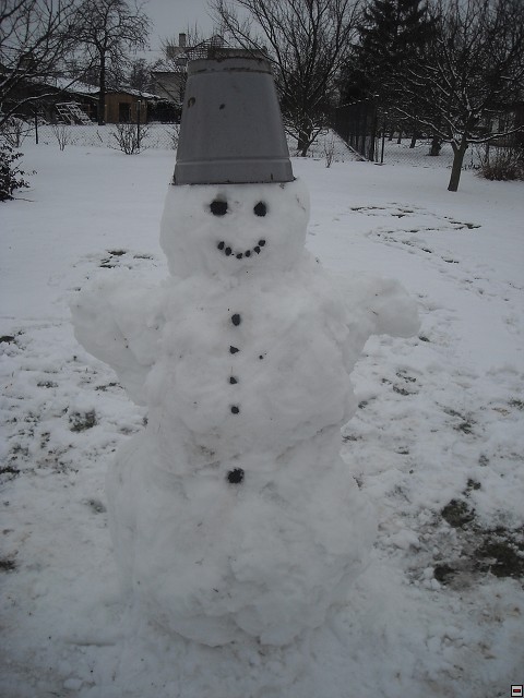 img00268.jpg