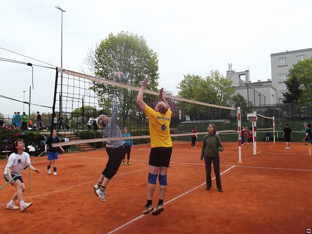 img00008.jpg