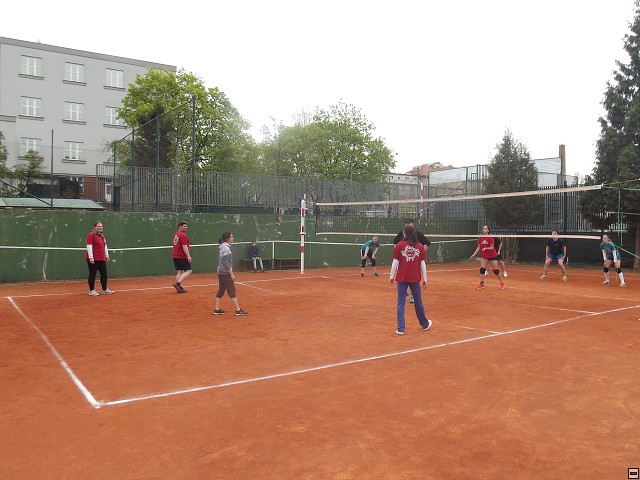 img00011.jpg