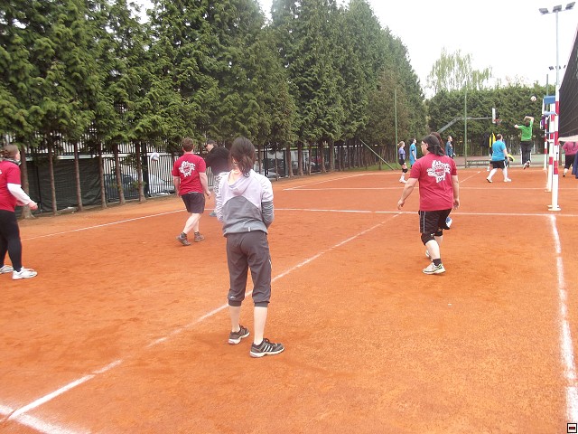 img00015.jpg