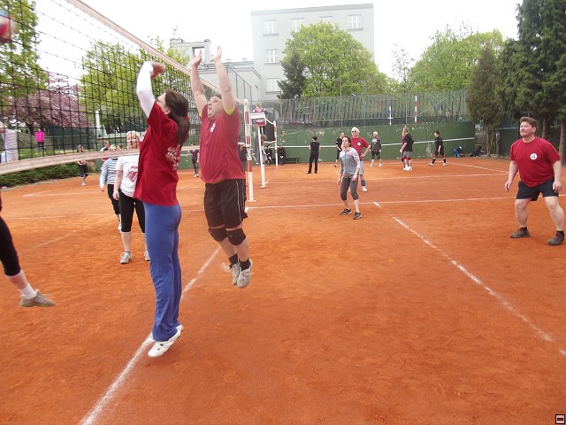 img00031.jpg