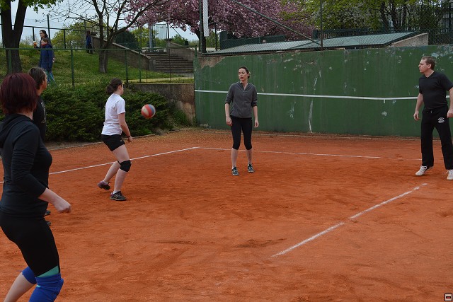 img00037.jpg