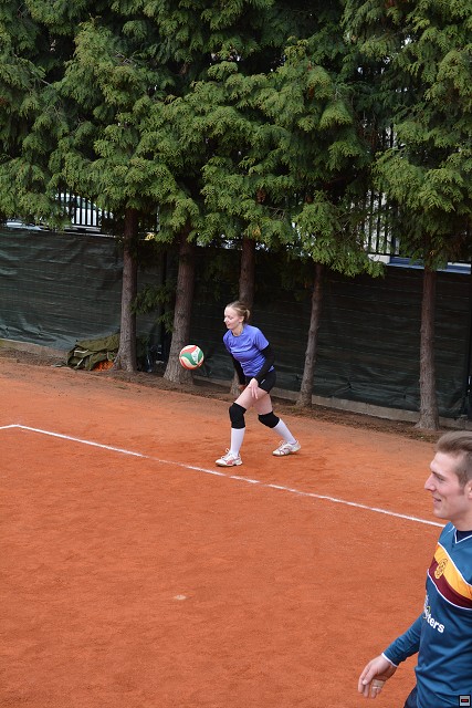 img00107.jpg