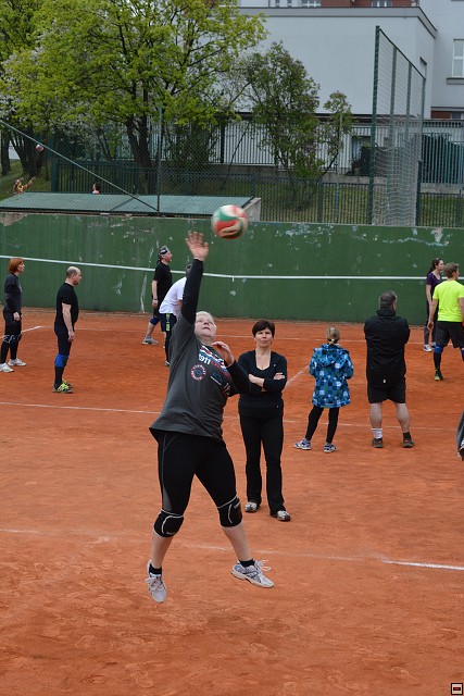 img00113.jpg