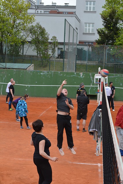 img00130.jpg