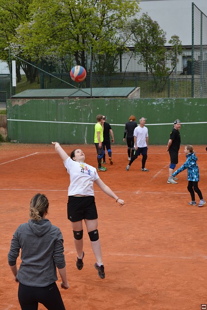 img00139.jpg