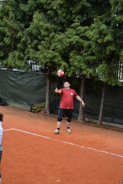 img00146.jpg