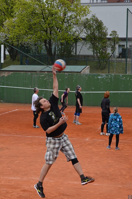 img00148.jpg