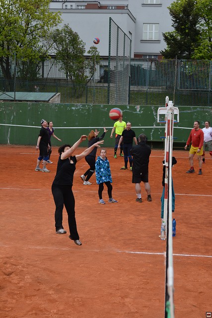img00156.jpg