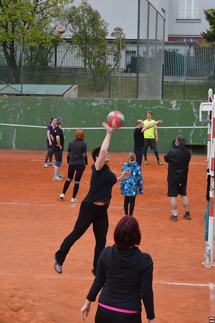 img00159.jpg