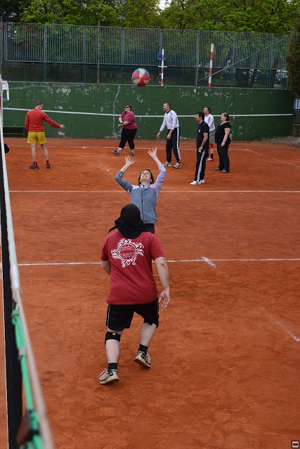 img00163.jpg