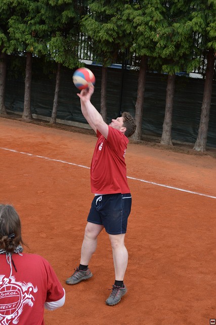 img00170.jpg