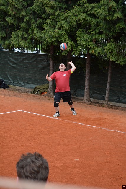 img00176.jpg